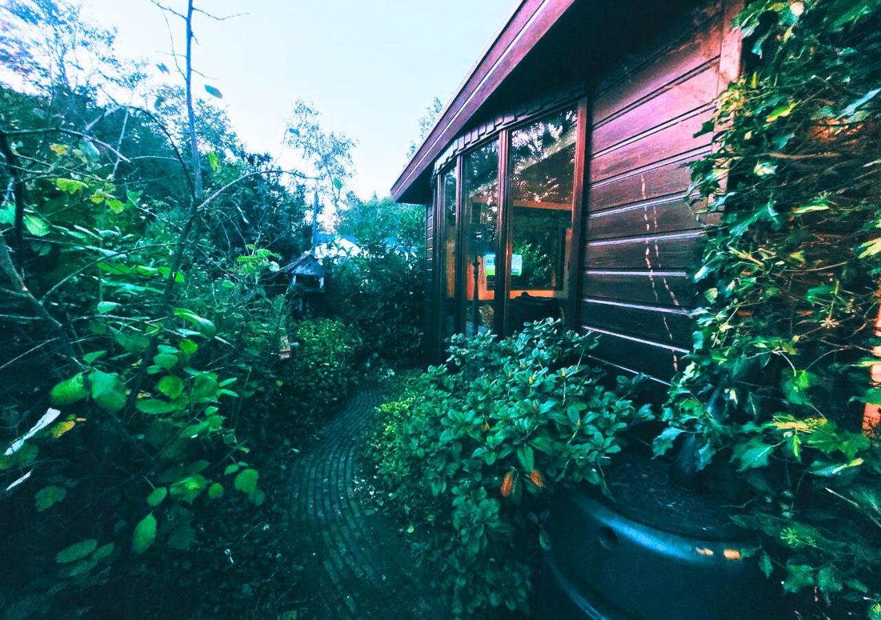 "De Jungle" Chalet Met Veranda Op Ijsselheide Hattemerbroek Veluwe エクステリア 写真
