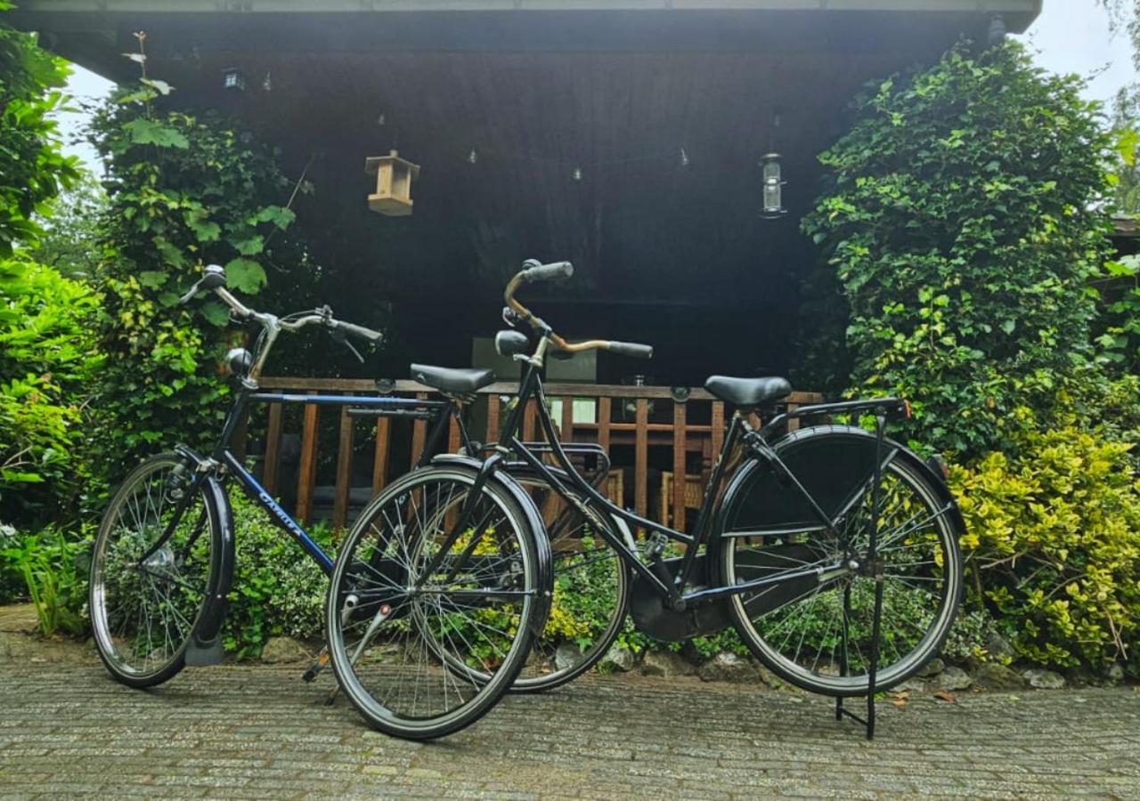 "De Jungle" Chalet Met Veranda Op Ijsselheide Hattemerbroek Veluwe エクステリア 写真
